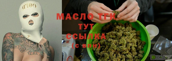 гашик Надым