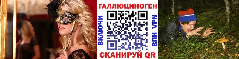 Купить  Ардатов  Псилоцибиновые грибы Psilocybe 